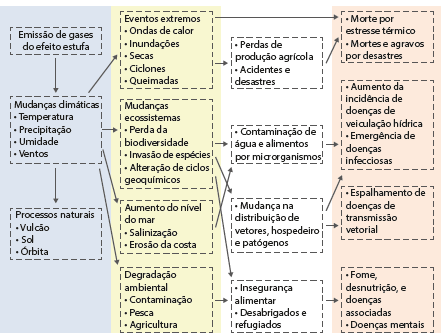 Possíveis caminhos dos efeitos das mudanças climáticas sobre as condições de
                                saúde.