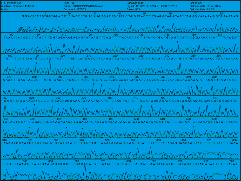 Sequenciamento de DNA.